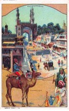 Chromos -COR11442 - Ha&iuml;derabad Stadt - Chameau - Ho - Chicor&eacute;e Boulang&egrave;re