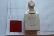 Martha Stewart Pop Up Tulips Punch