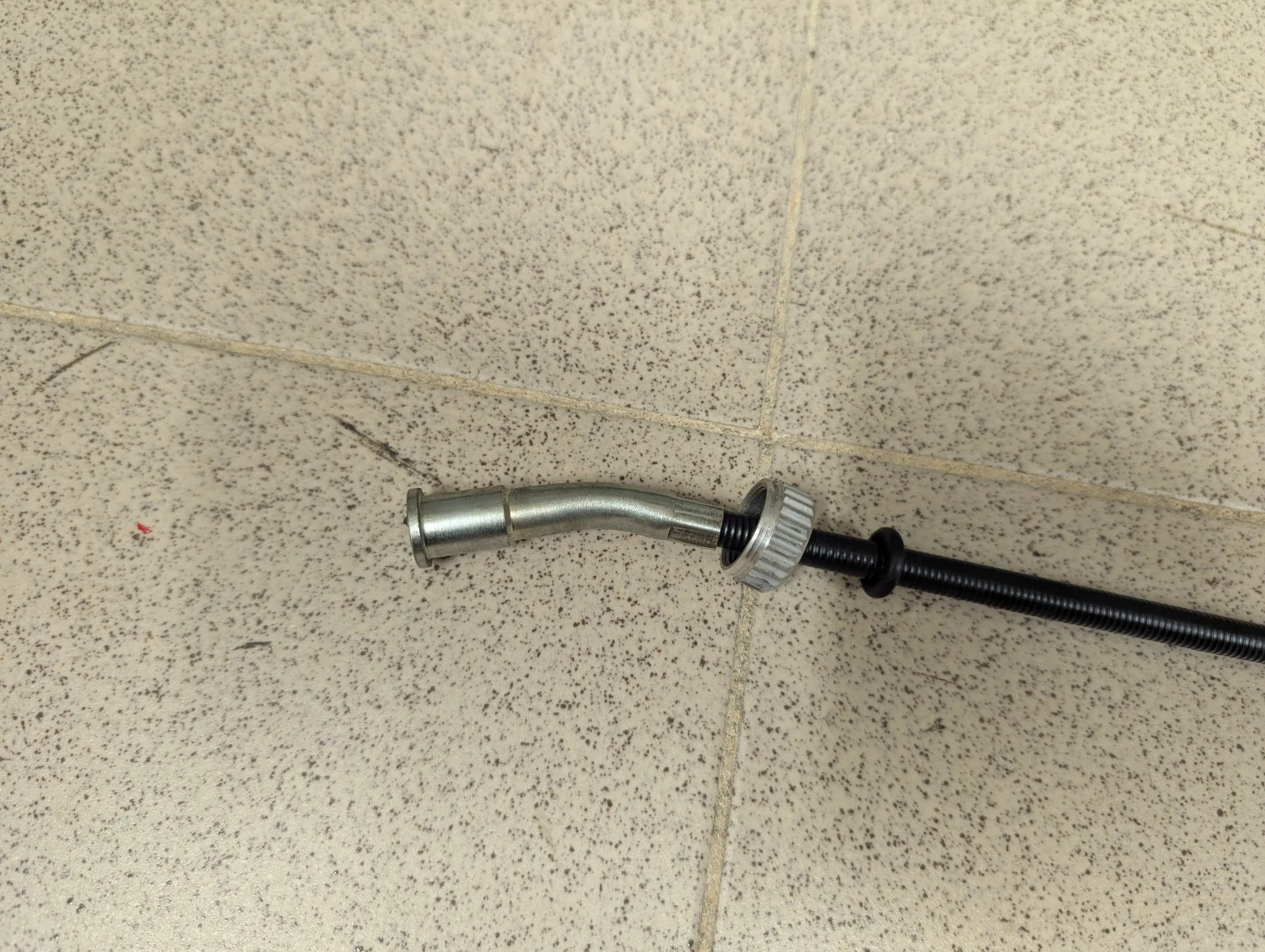 DESCRIZIONE DELL'IMMAGINE