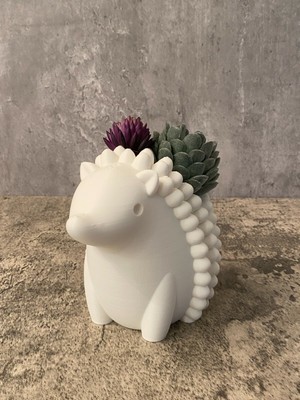 Cute Hedgehog Planter | Vase | Succulent