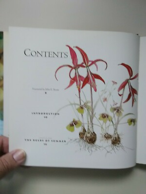 The Outdoor Potted Bulb by Rob Proctor (1993, Hardcover