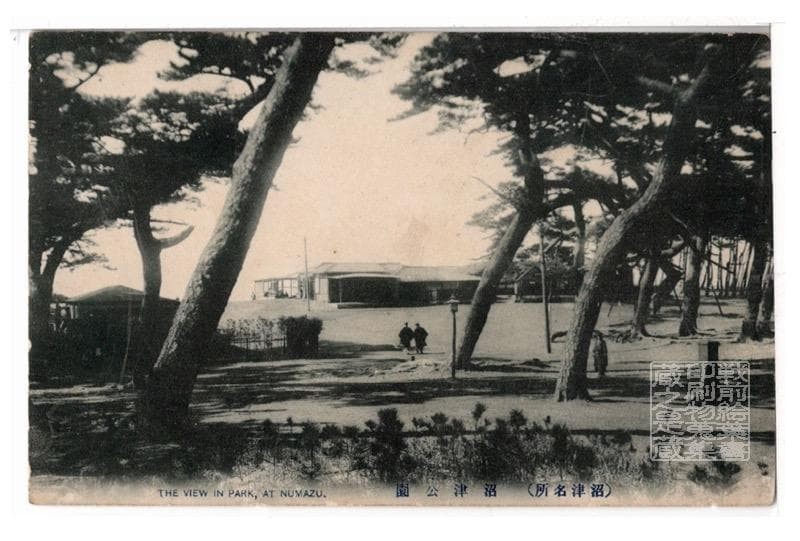 Shizuoka Pre-War Numazu Park Postcard Japan Vintage Collectible