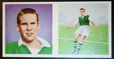 PLYMOUTH ARGYLE   Bellett   Vintage 1960 Illustrated Football Card  FE02M