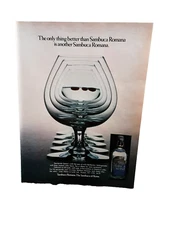 1981 Sambuca Romana Wild Elderberries Original Print Ad 80s