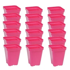 SUNPACK 3.3" x 3.3" Seed Starting Square Insert Pot, Magenta, 4" (Pack of 18)