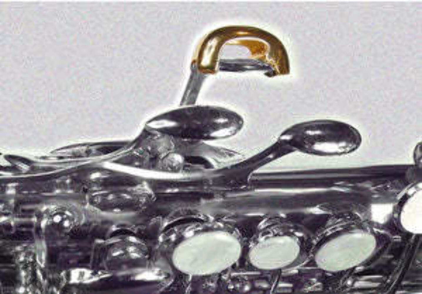 Oleg Soprano Sax Skyscraper Palm Key Riser 208 eBay