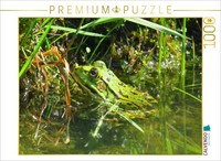Calvendo Puzzle Auf Fliegenfang | 1000 Teile Lege-GrößE 64 × 48 Cm Foto-Puzzle F