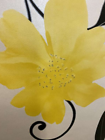 Picture 5 of 10