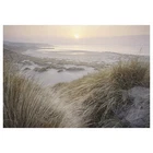 Ikea Bjorksta Shore in the dawn Large picture canvas 200 x 140cm NEW