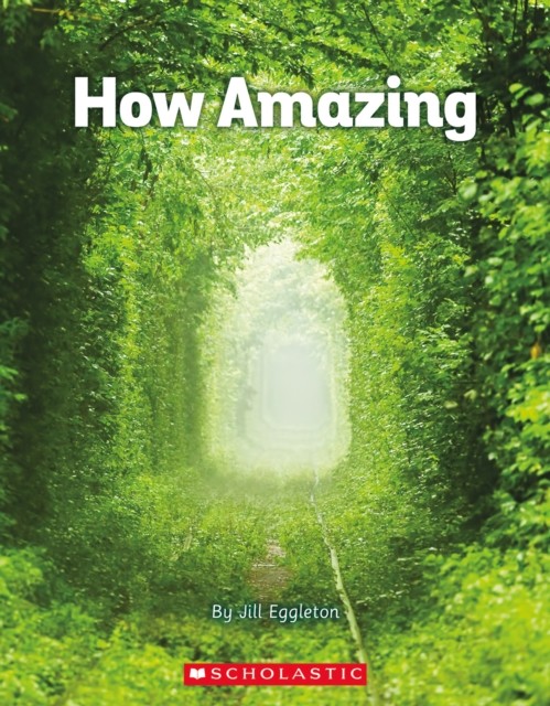 HOW AMAZING - Image 2
