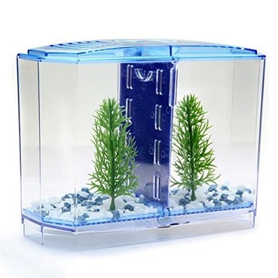 Betta Aquarium 20L Penn-Plax Doppel, Glas, für Kampffische, 2 Kammern