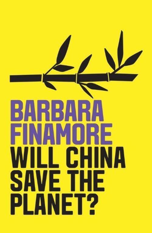 Thumbnail - Will China Save The Planet? | Barbara Finamore | Taschenbuch | 145 S.
