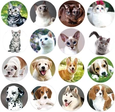 Dog and Cat Stickers for Kids Teachers,1000 Pcs Dog Cat Design Stickers for Kids