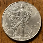 2013 AMERICAN SILVER EAGLE DOLLAR COIN 1 OZ. 999 PURE FINE SILVER