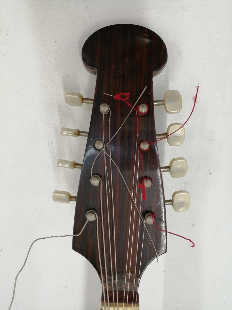 弦楽器 Raffaele Calace Figlio Classico Type 26 RAFFAELE CALACE & FIGLIO #26 Calace Mandolin | eBay