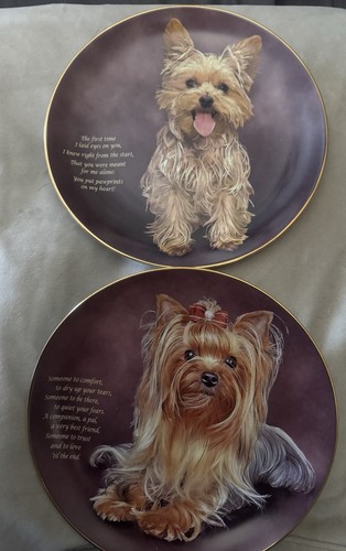 2 DANBURY MINT Cenione talerze Yorkies Someone to Comfort ~ Łapy na sercu - Zdjęcie 1 z 6