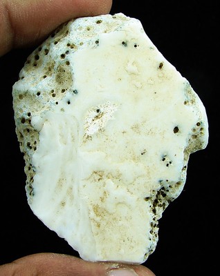 white opal white opal