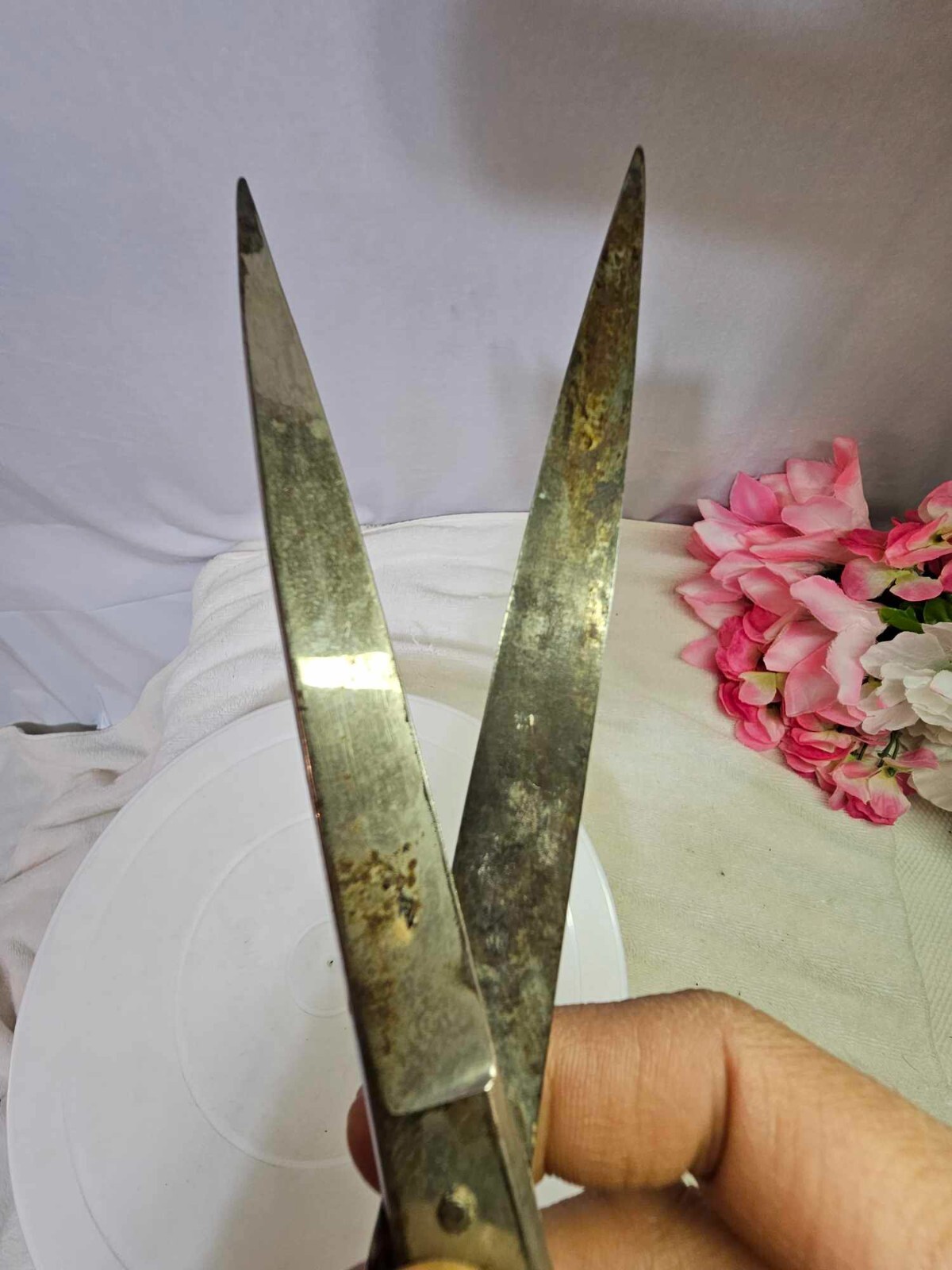 Vtg Hot drop forged steel italy scissors foremost 9" w Leather Case Germany- G5