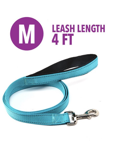 vibrant life reflective dog harness