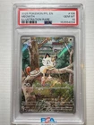 New Listing2025 Pokemon Meowth Illustration Rare #106 PSA 10 GEM MT