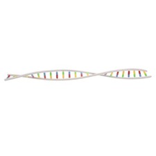 أخرى الصحة والجمال DNA Double