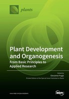 Plant Development And Organogenesis | Taschenbuch | Englisch (2020) | Mdpi Ag