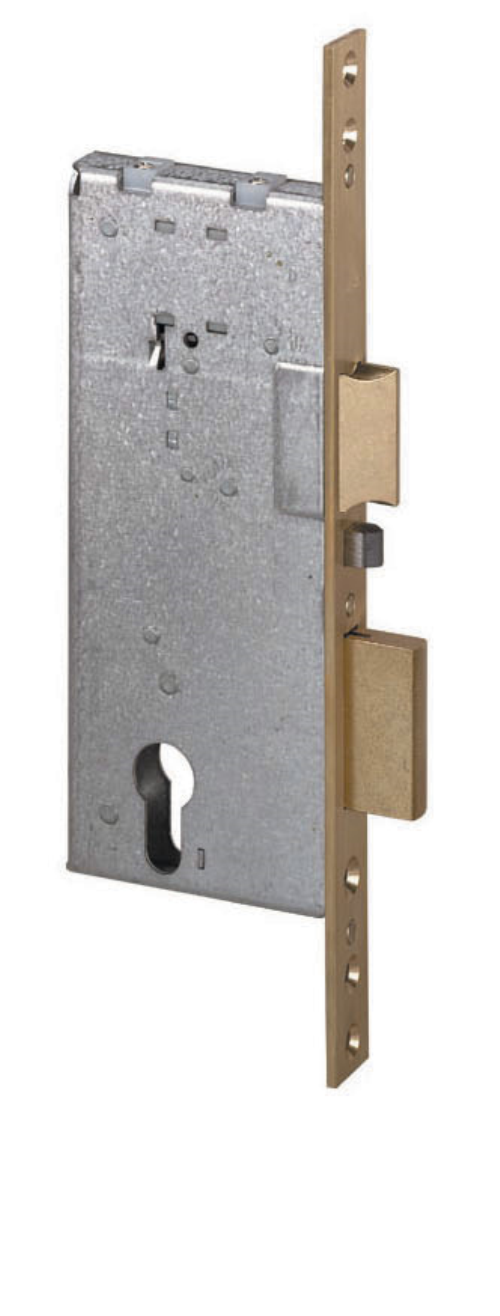 CISA ART.12011 ELETTROSERR. MM.50 S-CILINDRO CISA PZ 1,0