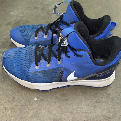 Men's Nike LeBron Witness Game Royal Sneakers Shoes Blue CQ9380-400 Size  15