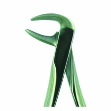 Implant Dentistry – Lower Incisors & Root (74NF)