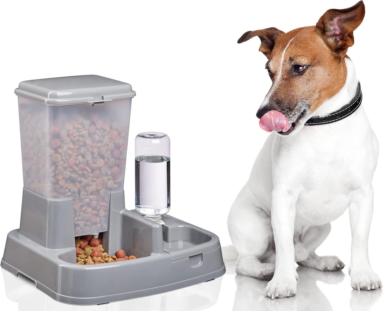 Ciotola Doppia Automatica Cani e Gatti - Più Tempo per le Coccole - 3