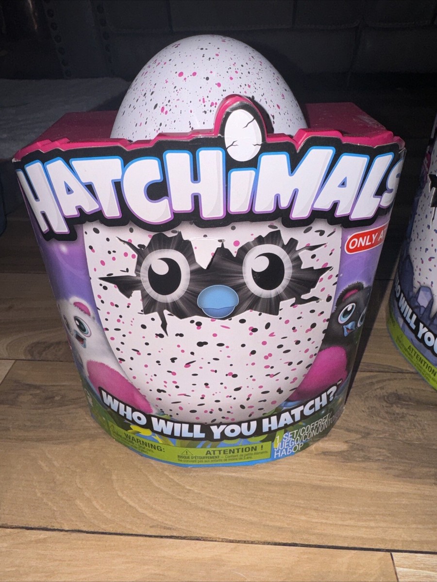 Spin Master Hatchimals Mystery Egg Pengualas/Draggles Sealed Brand NEW