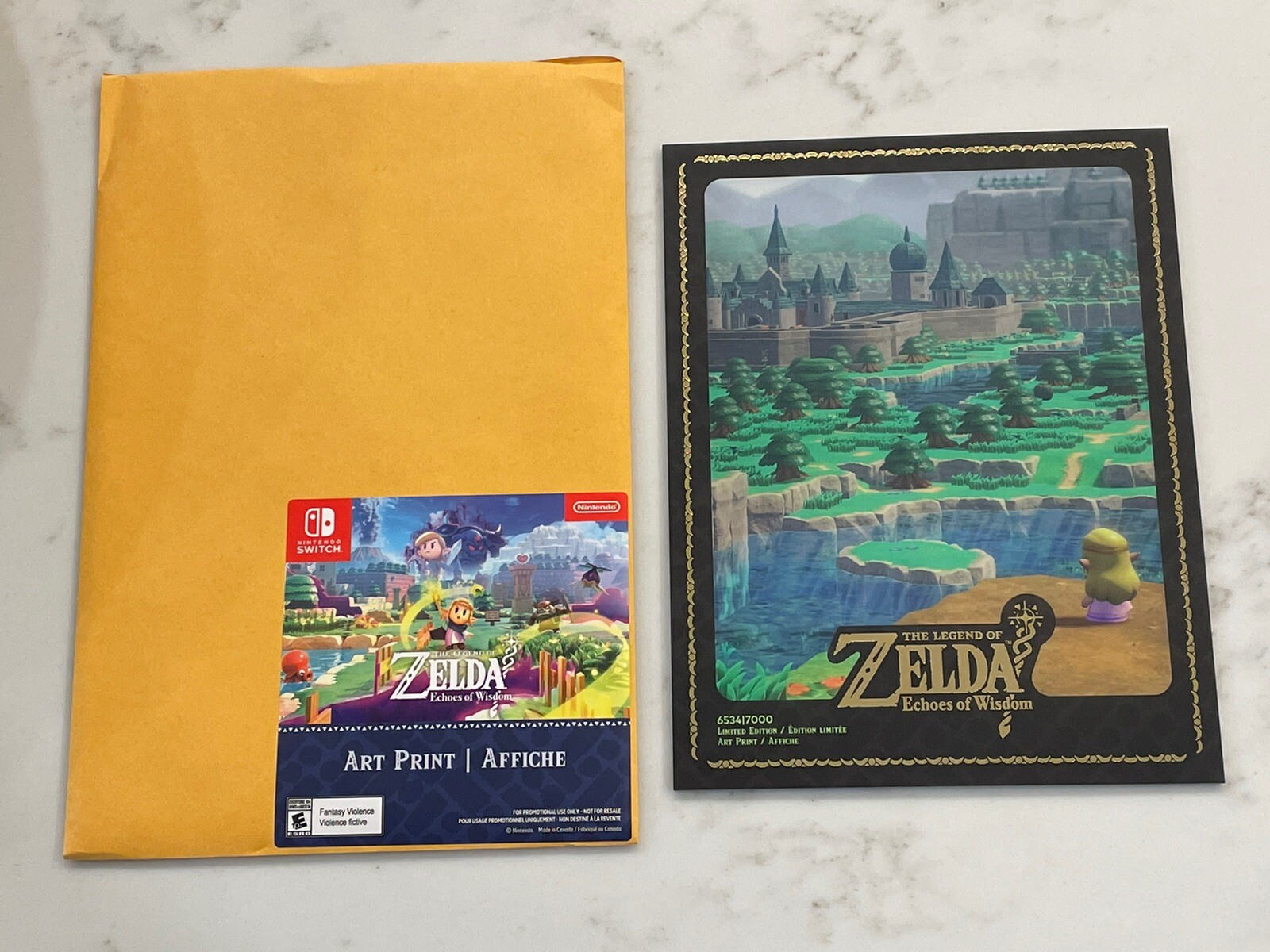 The Legend of Zelda Echoes of Wisdom Art Print Pre Order Bonus Item eBay