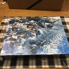 SPRINGBOK 500 Pcs Jigsaw Puzzle SEASHELLS BY THE SEASHORE Beach Shell New Sealed