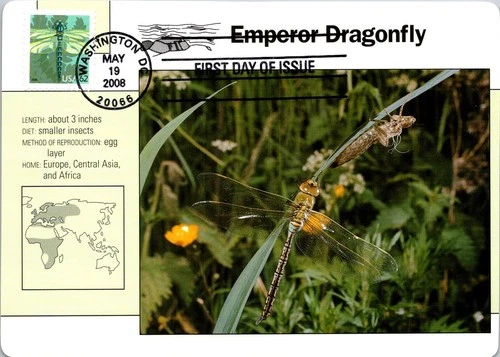 Dr Jim Stamps Maximum Card Dragonfly 62C Fdc