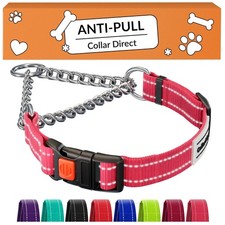 Pink Nylon Slip Collar for Large Dogs, Reflective