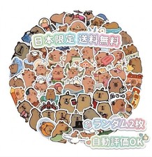 Cute Capybara Sticker Random 2pcs Kawaii Animal Japan Only