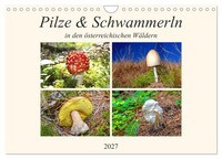 "Calendar 2027 · US Version · Mushrooms & Mushrooms (Wall Calendar 2027 12\" × 8\""