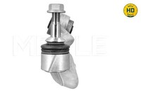 Meyle Stange/Strebe, RadaufhäNgung 316 050 0146 FüR BMW