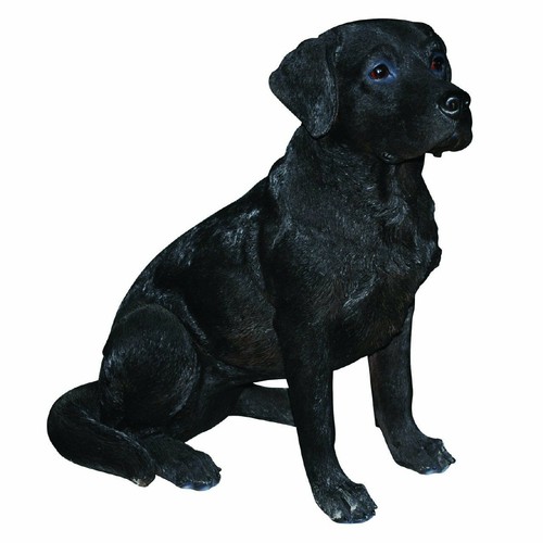 Vivid Arts Real Life Black Labrador (Size B) Indoor Outdoor Garden Ornament - Picture 2 of 2