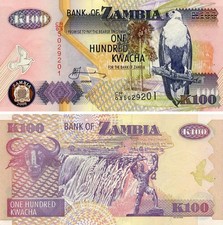 Zambia 100 kwacha 2008 UNC Buffalo (P38g)