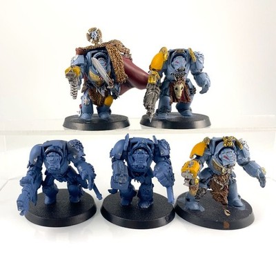 X5 Terminators Wolf Guards Plastic Warhammer 40K | P-00OD2