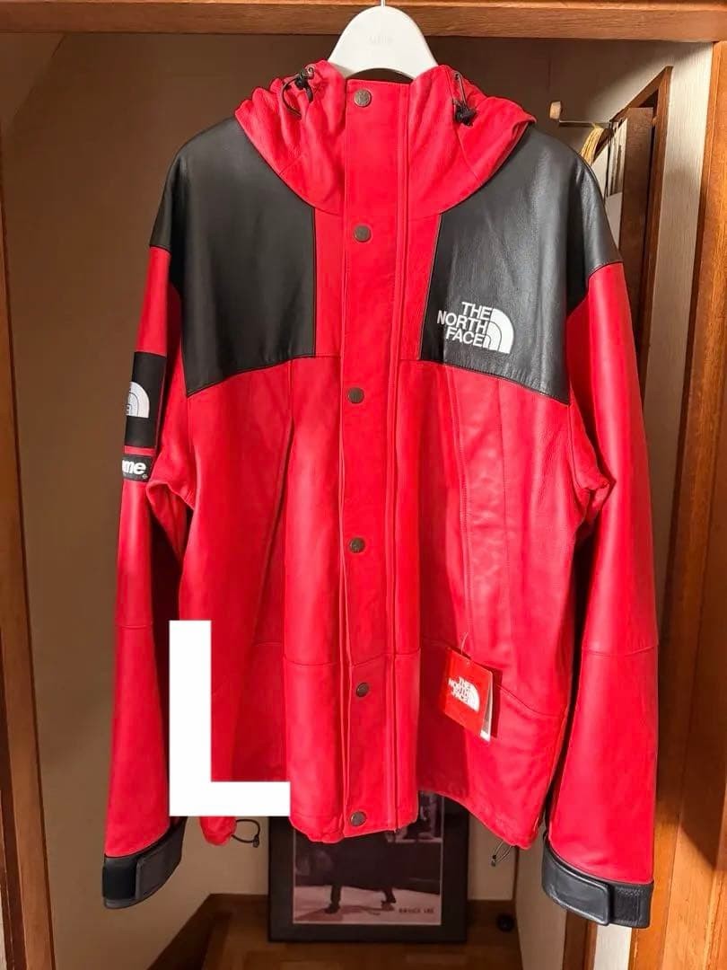 Supreme 18Aw North Face Leather Mountain Jacket