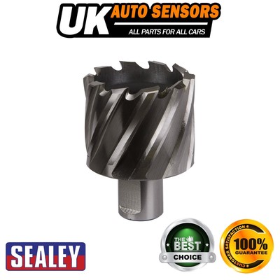 Sealey Worksafe �� 46 mm HSS Mag Bohrer Schnitttiefe 25 mm RBHSS46S