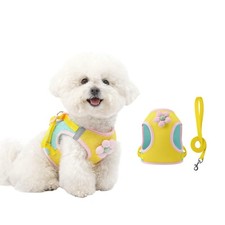 Floral Mesh Dog Harness with Matching Leash  Lightweight Pet Vest, Suitable f...