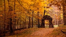 Landscape fall nature trees leaves ruins outdoors Custom Gaming Mat Desk