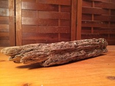 Beautiful 13" Driftwood Terrarium Reptile Taxidermy Aquarium Wood Art Decor