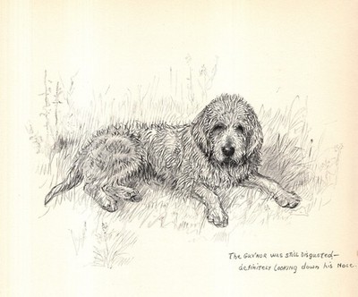 Vintage Otterhound Print Wall Art Decor 1938 K Barker Illustration 6713L