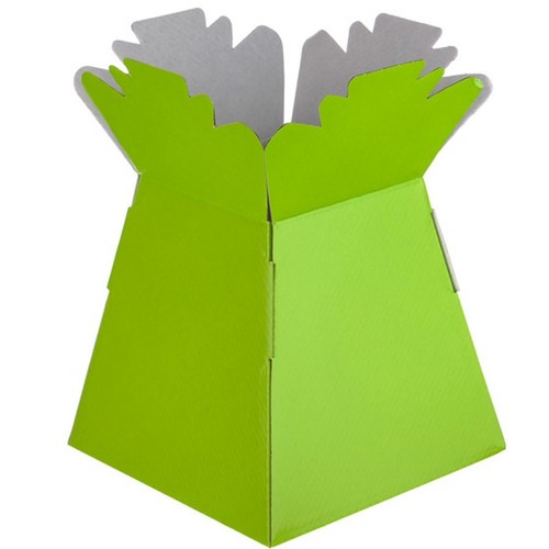 Florist Bouquet Box Flower Plant Aqua Sweet Boxes 21 Colour Choice - Picture 12 of 20