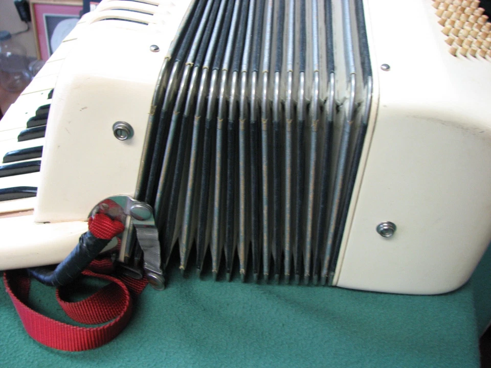 Acordeón Wurlitzer vintage con estuche original juega en excelente estado como se muestra Foto 3 de 4