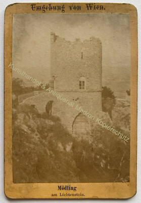 orig. Photo photography CDV format around 1870 Mödling Lower Austria Vienna album Lichtenstein